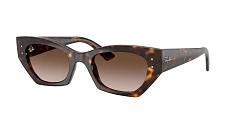 Оправа Ray-Ban   