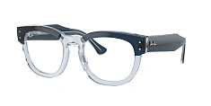 Ray-Ban 0RX0298V