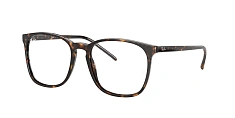 Ray-Ban 0RX5387