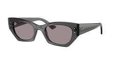 Оправа Ray-Ban   