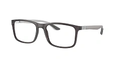 Ray-Ban 0RX8908