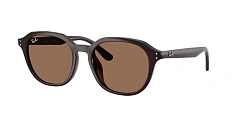 Ray-Ban 0RB4459D