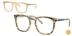 Ray-Ban 0RX2210V