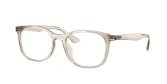Ray-Ban 0RX7093D