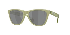 Солнцезащитные очки Oakley Frogskins 0OO9013/9013D0
