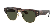 Ray-Ban 0RB0316S