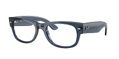 Ray-Ban 0RX0832V