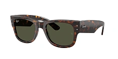 Оправа Ray-Ban