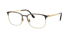 Ray-Ban 0RX6494