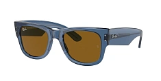 Ray-Ban 0RB0840S