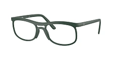 Ray-Ban 0RX7254
