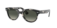 Ray-Ban 0RB2199
