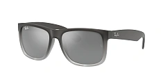 Ray-Ban 0RB4165