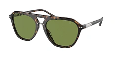 Ralph Lauren 0RL8219U