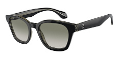 Солнцезащитные очки Giorgio Armani  0AR8207/608613