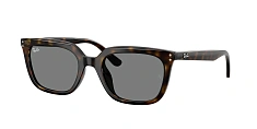 Ray-Ban 0RB4439D