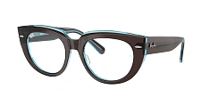 Ray-Ban 0RX5586