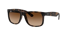 Ray-Ban 0RB4165