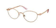 Swarovski 0SK1002