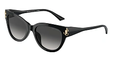 Jimmy Choo 0JC5018U