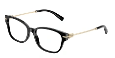 Tiffany & Co. 0TF2262