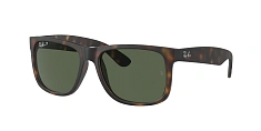 Ray-Ban 0RB4165
