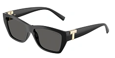 Tiffany & Co. 0TF4255U