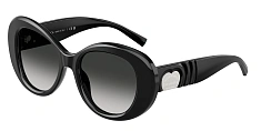 Tiffany & Co. 0TF4228