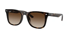 Оправа Ray-Ban   