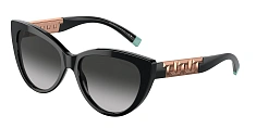 Tiffany & Co. 0TF4196