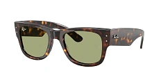 Ray-Ban 0RB0840S