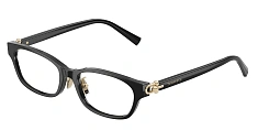Tiffany & Co. 0TF2291D