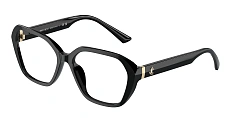 Jimmy Choo 0JC3013U