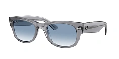 Ray-Ban 0RB0832S