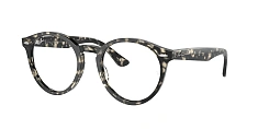 Ray-Ban 0RX7680V