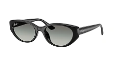 Ray-Ban 0RB4457D
