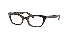 Ray-Ban 0RX5499