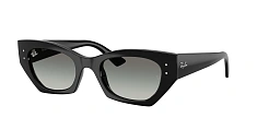 Ray-Ban 0RB4430