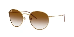 Ray-Ban 0RBR0103S