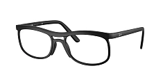 Ray-Ban 0RX7254