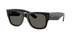 Ray-Ban 0RB0840S