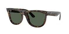 Ray-Ban 0RBR0502S