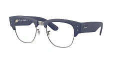 Ray-Ban 0RX7316V