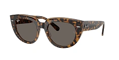 Ray-Ban 0RB2286