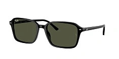 Ray-Ban 0RB2231