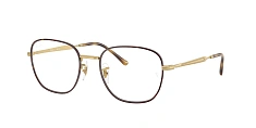 Ray-Ban 0RX6534