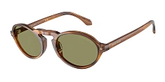 Солнцезащитные очки Giorgio Armani  0AR8219U/616453