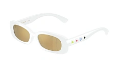 Dolce&Gabbana 0DX6006U