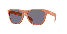 Солнцезащитные очки Oakley Frogskins 0OO9013/9013D0