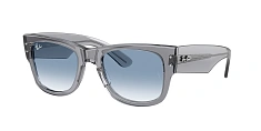 Ray-Ban 0RB0840S